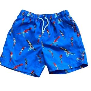 Original Penguin Macaw Red Bird Design Blue Shorts M